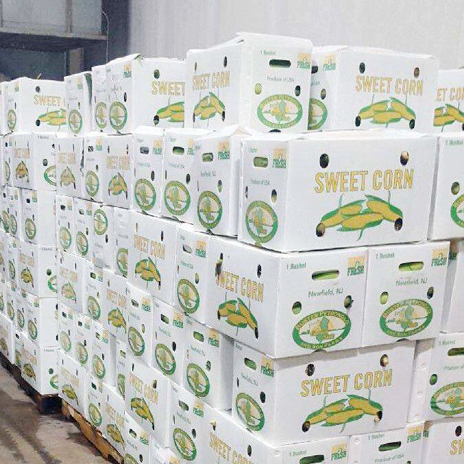 Produto de venda a quente dobrável Eco-friendly Folha de proteção durável Caixa de plástico de frutas e vegetais